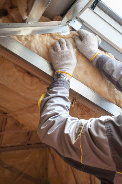 Best Insulation Maintenance and Repair in Abingdon, MD